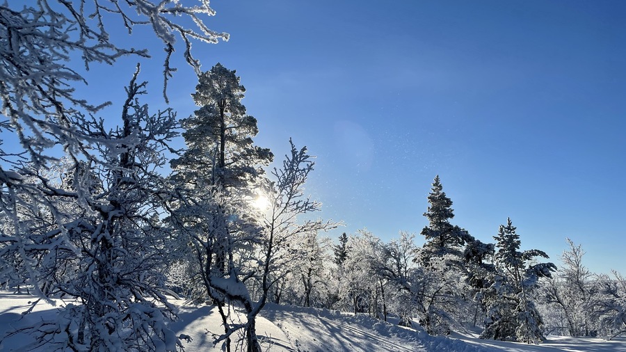 Vinterlandskap i Dalarna